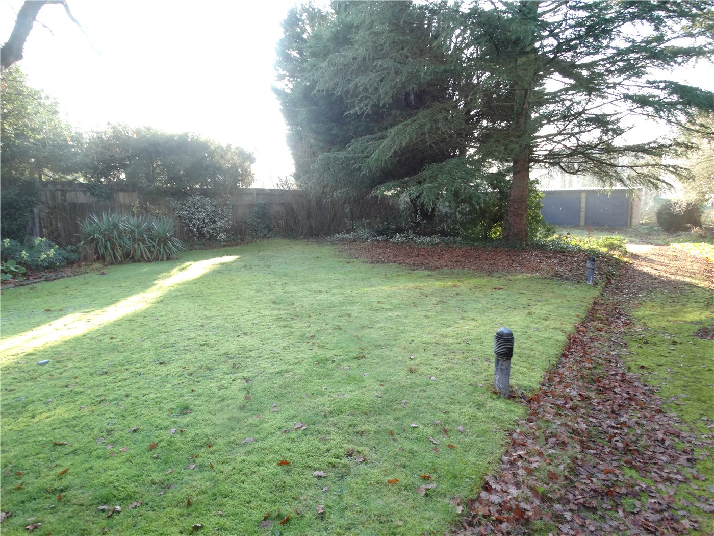 Communal Garden